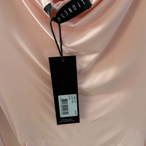 Glory Mini Dress in Blush
LIONESS - Picture 5 of 6
